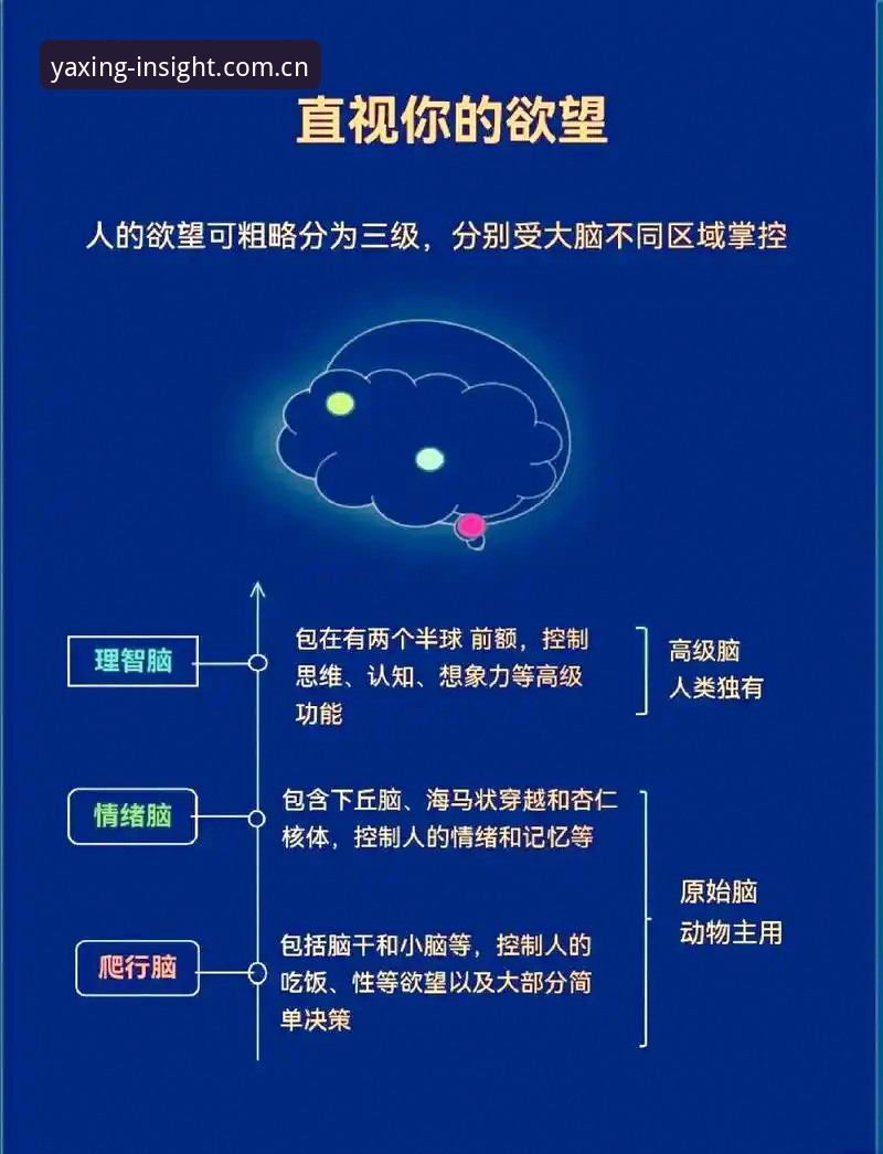 亚星V3网页版入口最新版 3个核心维度解读索斯盖特纪录片:从“男性圈层”到英格兰队未来前景